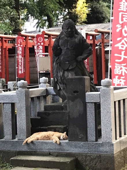 猫もぐったり 猫もぐったり