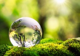 超能力者のリモートビューイングと和の薬膳が融合した高波動なパワーフード／くま笹珪素ウィルプラス／カムナ通信簿vol.75