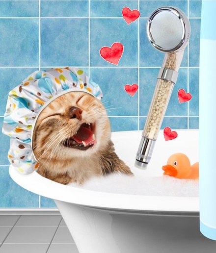 シンストリーマーNB+が大人気! 17歳の猫ちゃん毛つやがとても良いです♡ シンストリーマーNB+が大人気! 17歳の猫ちゃん毛つやがとても良いです♡