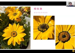 2025年大祓スペシャル☆“人体＋環境丸ごとリセット”動画がアップされました！