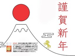 あけましておめでとうございます