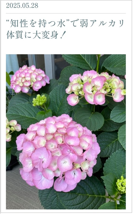 250528ブログ 250528ブログ